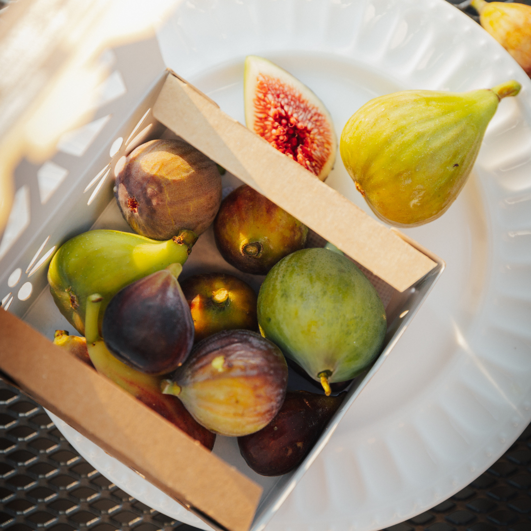 <tc>Quebec organic figs</tc>