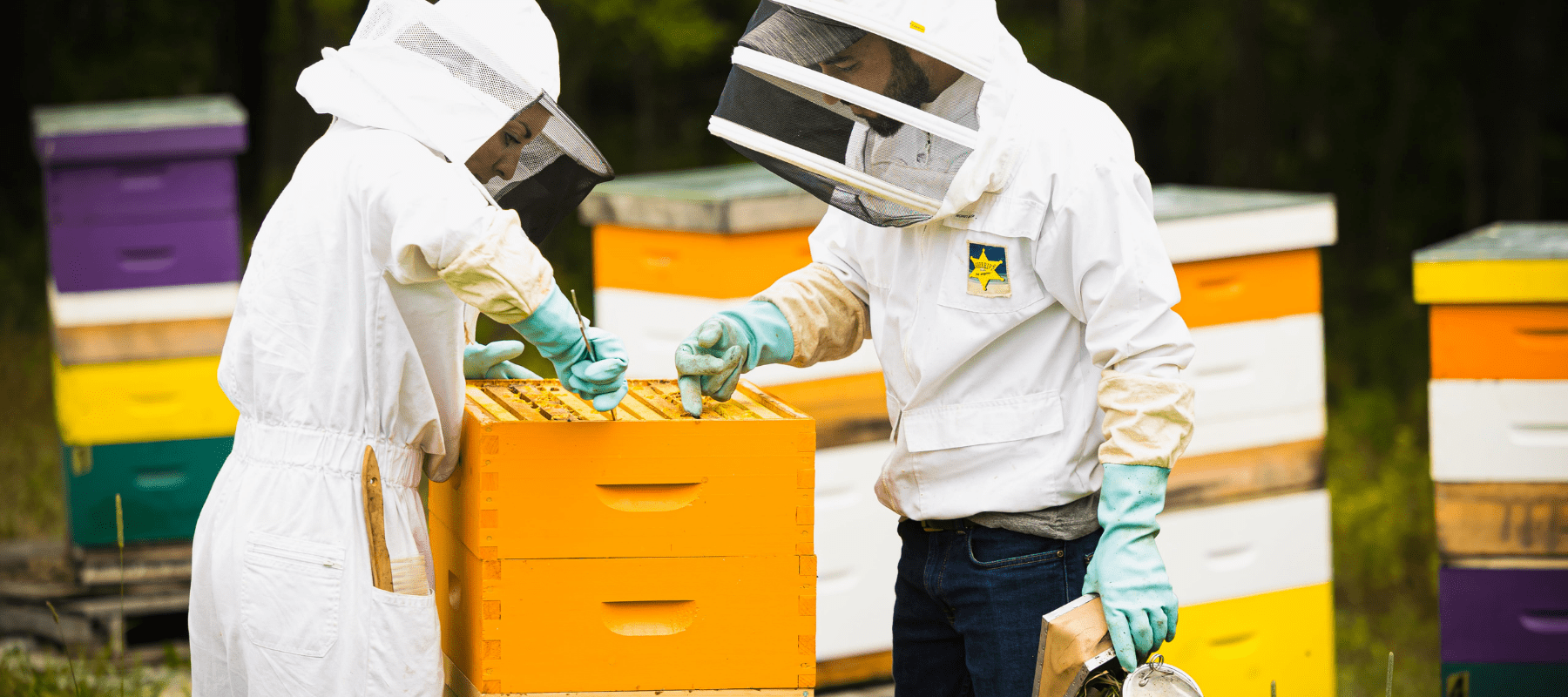 photo-exterieur-marie-michele-etienne-habit-apicole-souriante-cadre-miel-ruchers-colores